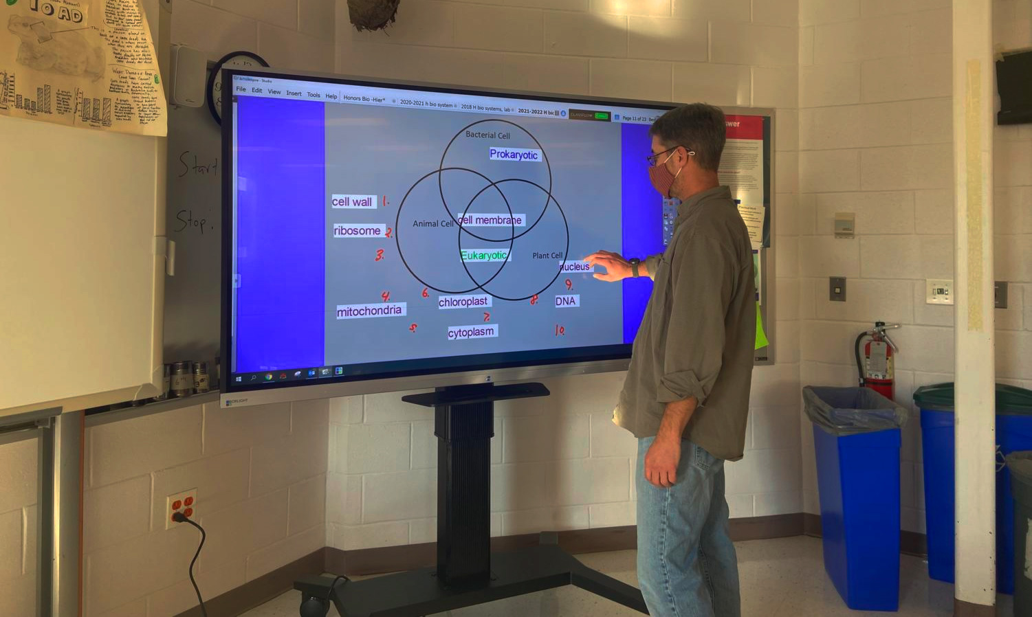 Promethean Board